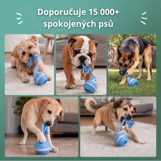 Interaktivní hračka pro psy