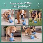 Interaktivní hračka pro psy
